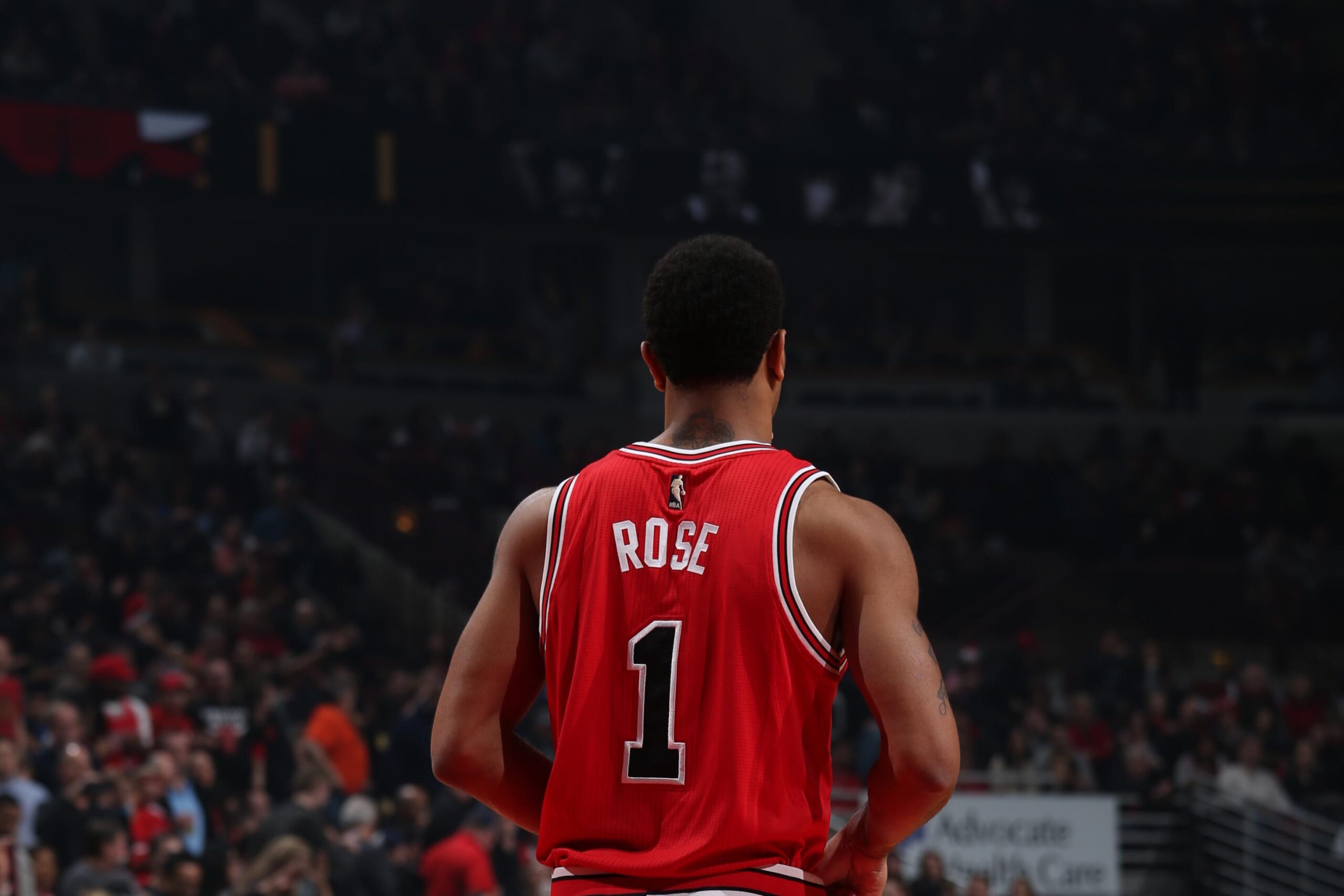 D.rose